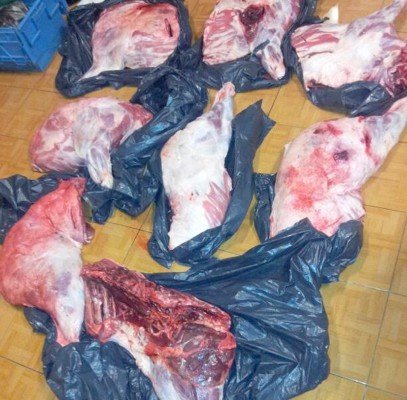 Indivizii prinşi cu maşinile doldora cu carne de mistreţ, trimişi în judecată